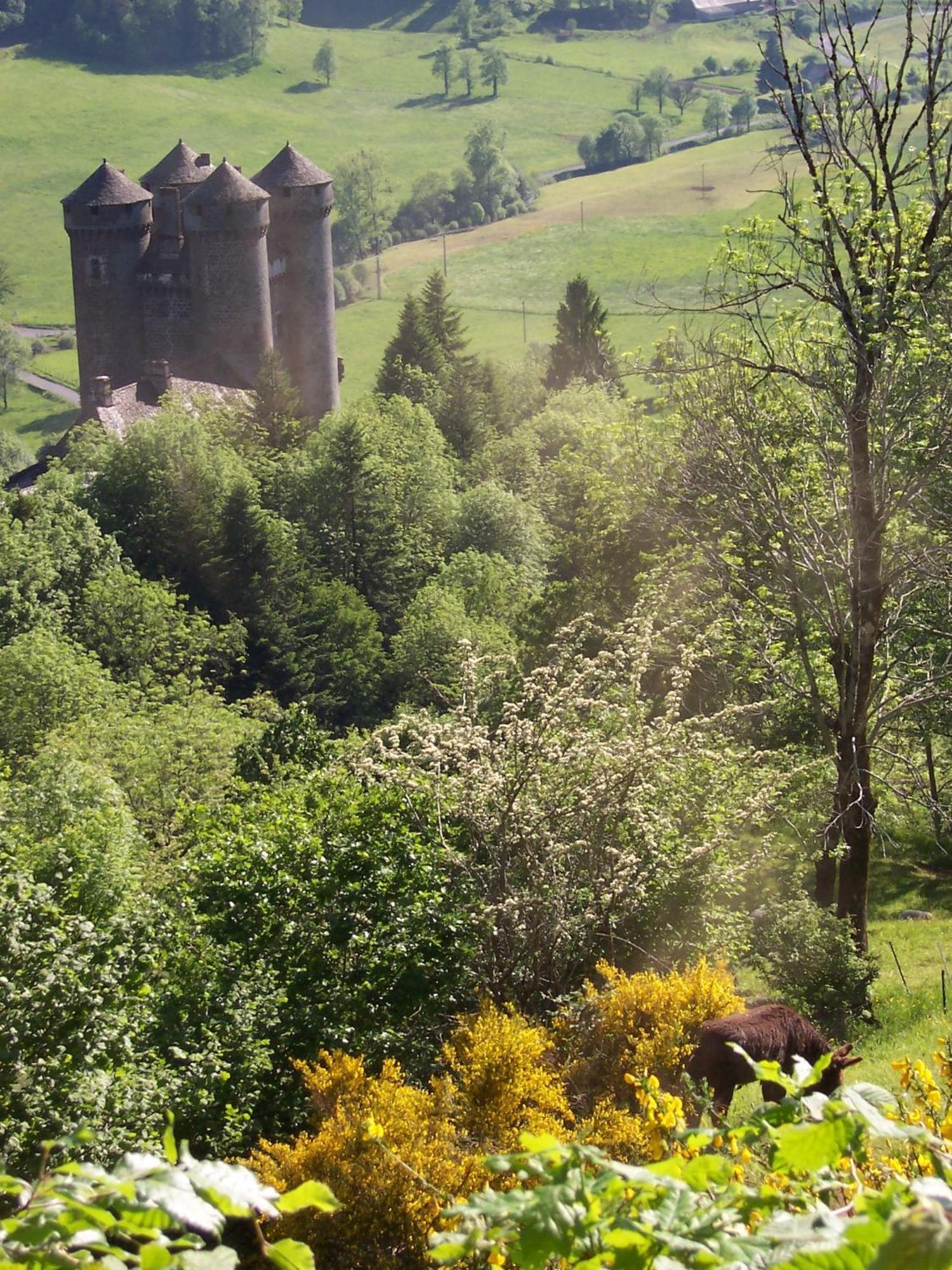 Auberge Hotel De Tournemire - Cantal Exteriör bild